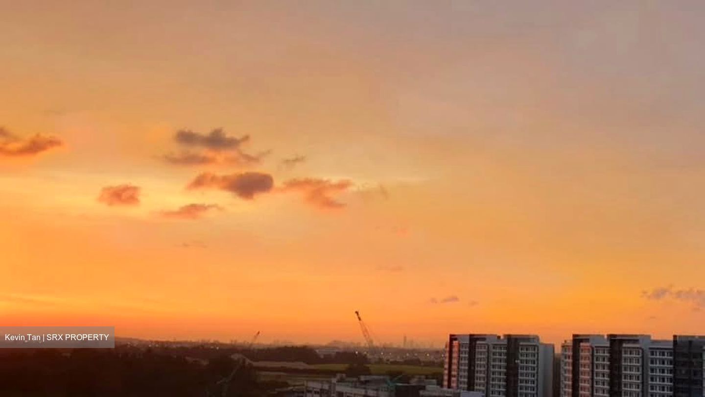 A Treasure Trove (D19), Condominium #586097531